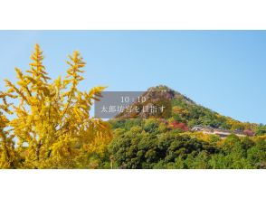 八日市に来たなら太郎坊宮へ。