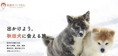 秋田犬旅游