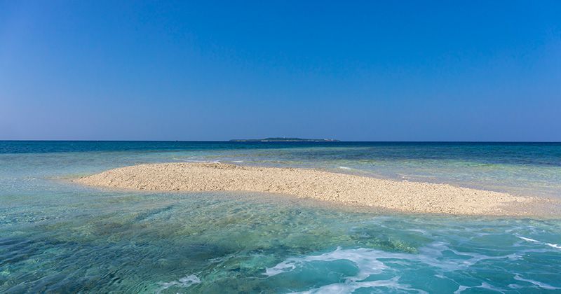What is Barras Island? A thorough introduction to how to get to the "miracle island" floating off the coast of Iriomote Island and popular landing tours! Image of
