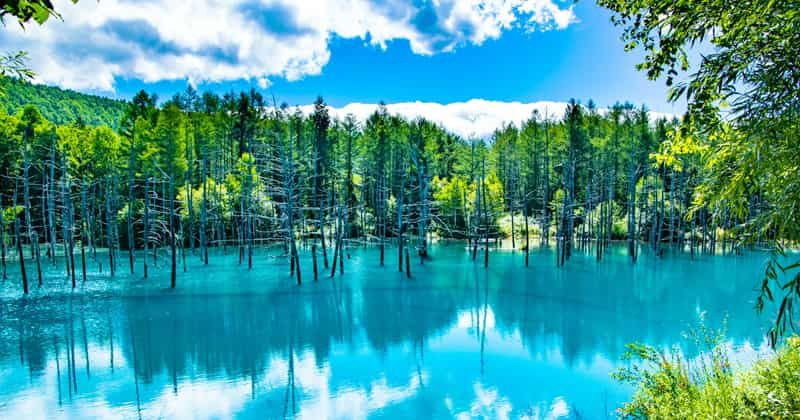 北海道“藍塘”的全部知識！交通方式·藍色美麗時的形象·周邊景點的說明