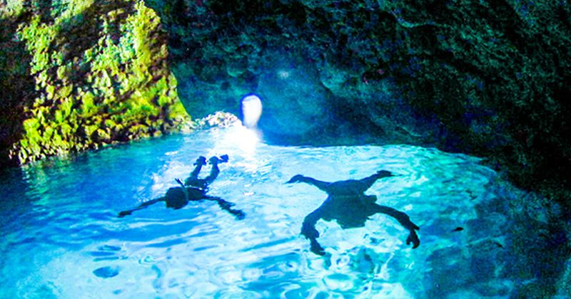 2024 | Okinawa Blue Cave Summary Onna Village, Ishigaki Island, Miyako Island Recommended Tour Images