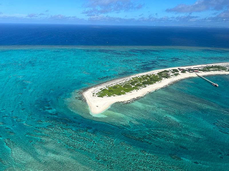 What is the difference between Chibishi and Kera? A thorough introduction to recommended tours at popular diving points!