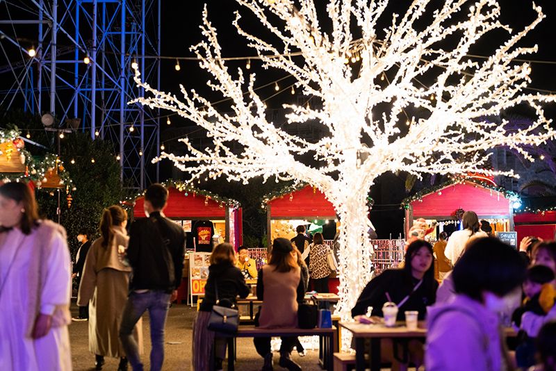 和歌山 フェスタ・ルーチェ 本当のクリスマスに出逢える場所 Light