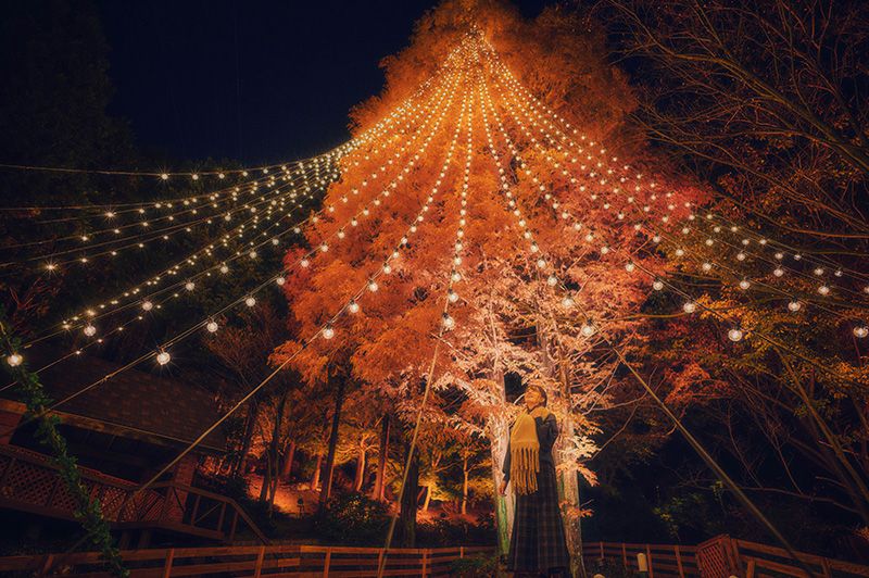 クリスマスマーケット 兵庫 神戸 古城のクリスマス2023 ボタニカルクリスマス 神戸布引ハーブ園 イベント 約25mのクリスマスツリー イルミネーション 幻想的な光の空間