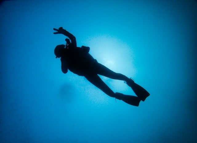 Person diving in the sea