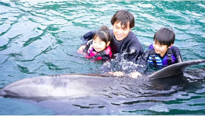 静岡・下田でイルカと遊ぶ子供たち ドルフィンビーチ