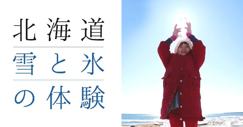 北海道冬天季獨有的體驗 活動/休閒/體驗/遊玩遊人氣排名