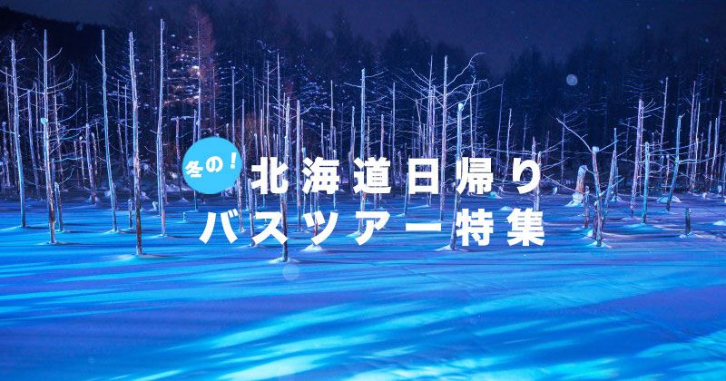 Hokkaidoバスツアー人気ランキング│Sapporo発日帰り・富良野・旭山動物園・流氷砕氷船などおすすめプラン盛り沢山！