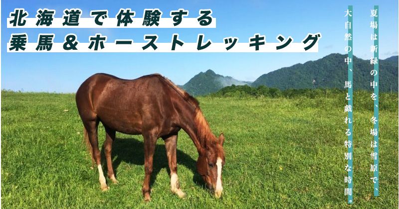 北海道馬術和騎馬徒步熱門體驗旅遊計劃和推薦的馬術俱樂部/商店信息圖片