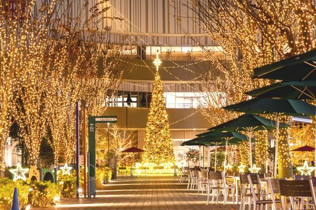 コクーンシティイルミネーション2024/埼玉・大宮