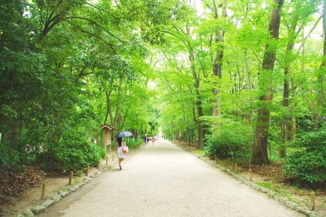 京都夏天季推薦景點:忠之森