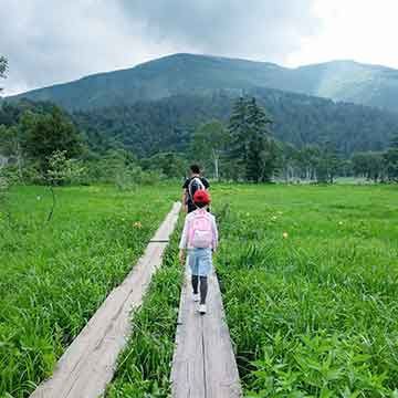 Trekking