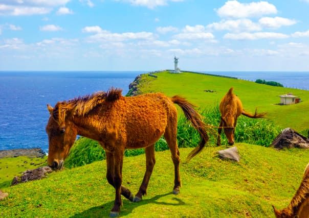 與那國島