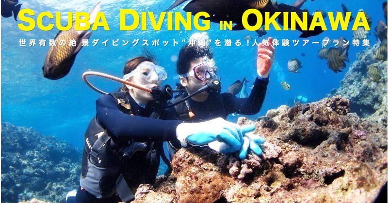 冲绳最适合潜水的地方是哪里？介绍适合初学者的体验旅游和推荐的潜水商店！图片