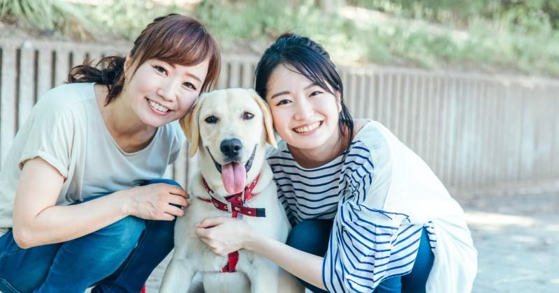與您的愛犬一起外出 | 關東地區可與您的愛犬一起享受的景點和活動圖片