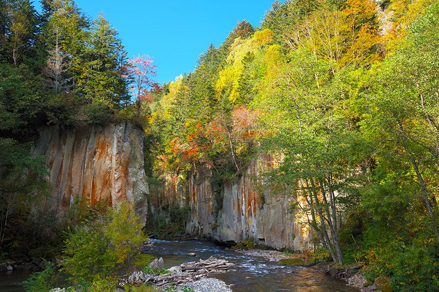 层云峡 奥巴科 峡谷 层云峡温泉 景勝地 层云峡最美的峡谷 秋天的樹葉の名所 柱状节理の岩肌と秋天的樹葉 川 大雪山国立公园