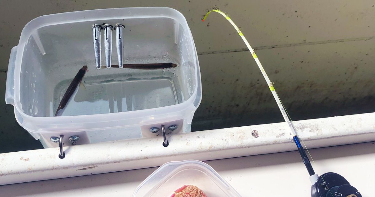 Lake Yamanaka Smelt fishing experience report｜Boathouse main image