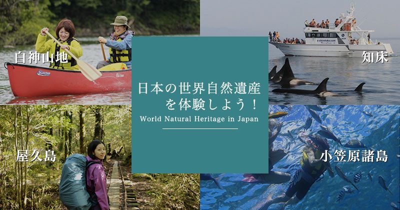 來體驗日本的世界自然遺產吧！ ～知床、白神山脈、小笠原群島、屋久岛的圖片～
