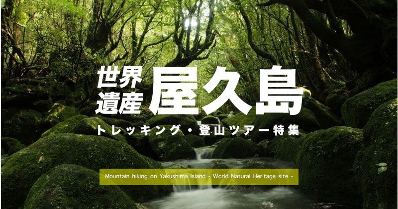 屋久岛繩文杉健行圖片│價格、路線、時間、最佳季節等預訂資訊研究！